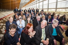 wvh_windstreek_1184ok