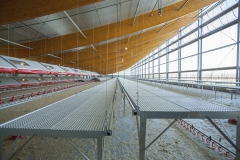 Plukon Windstreek_MG_2817
