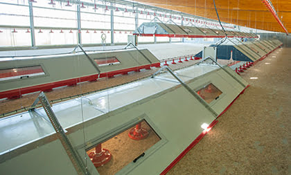 De moederklok